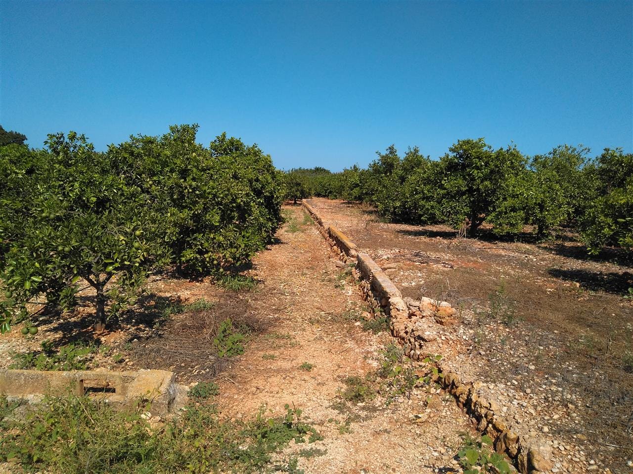 Land for sale in Ondara