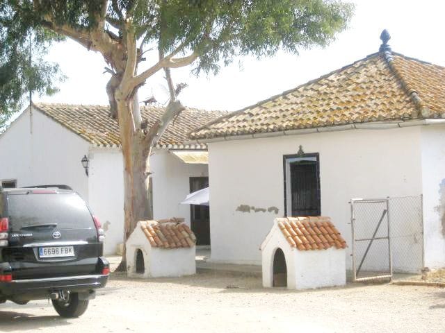 Country Estate en venta en Dénia