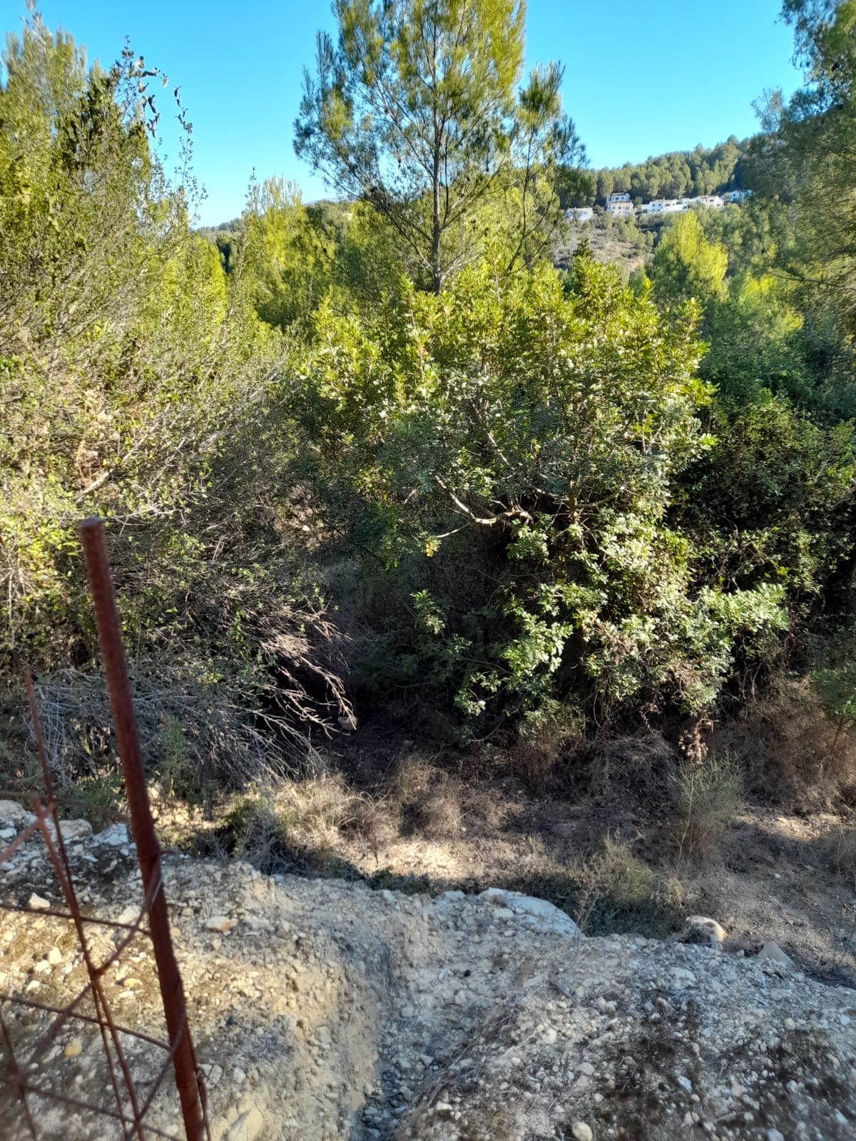 Land for sale in Benidoleig