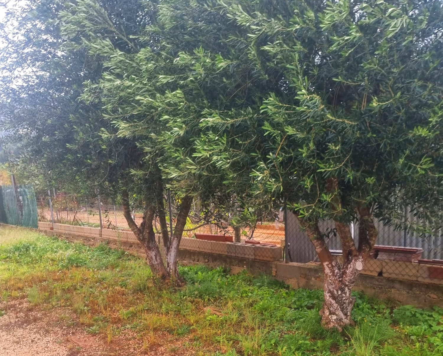 Land for sale in La Sella
