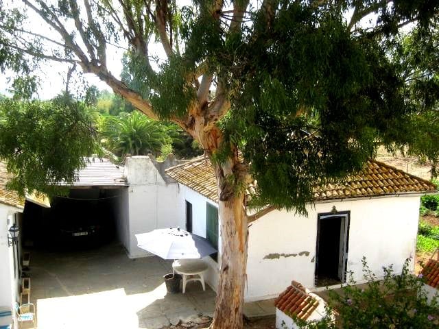 Country Estate en venta en Dénia