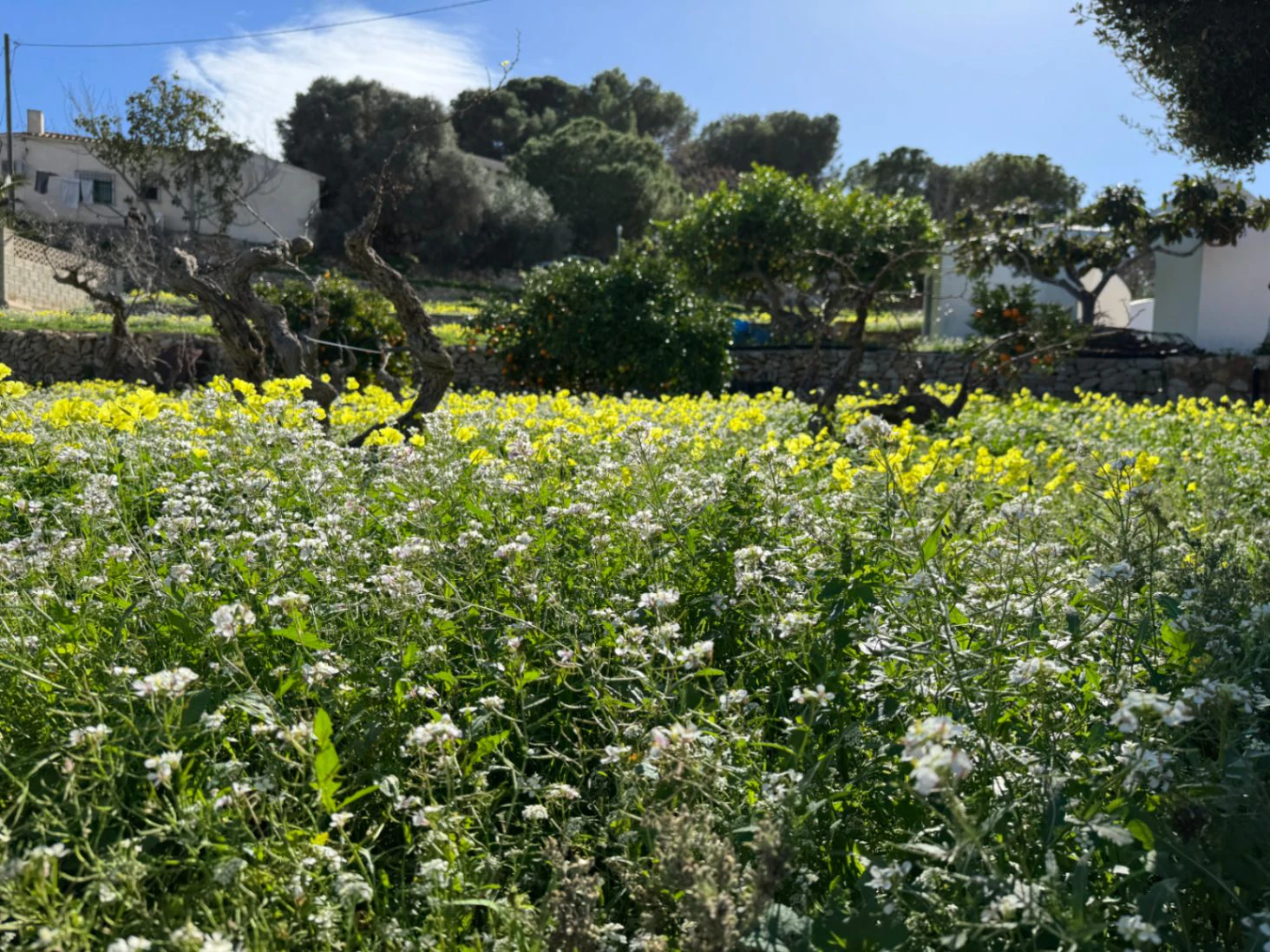 CH3394 - Villa in Benissa-Costa, zeer dicht bij La Fustera Strand