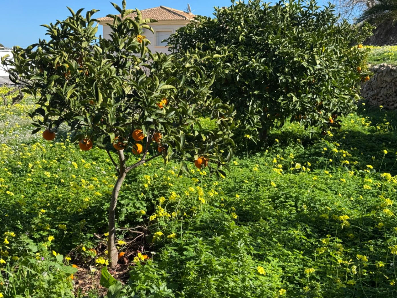 CH3394 - Villa in Benissa-Costa, zeer dicht bij La Fustera Strand