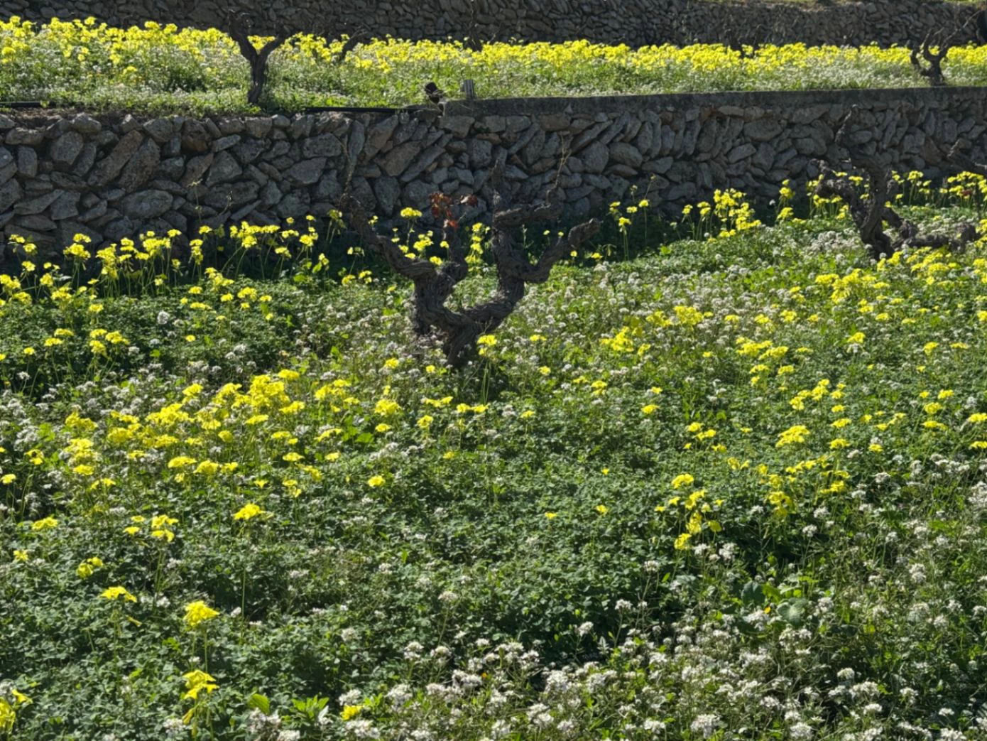 CH3394 - Villa in Benissa-Costa, zeer dicht bij La Fustera Strand