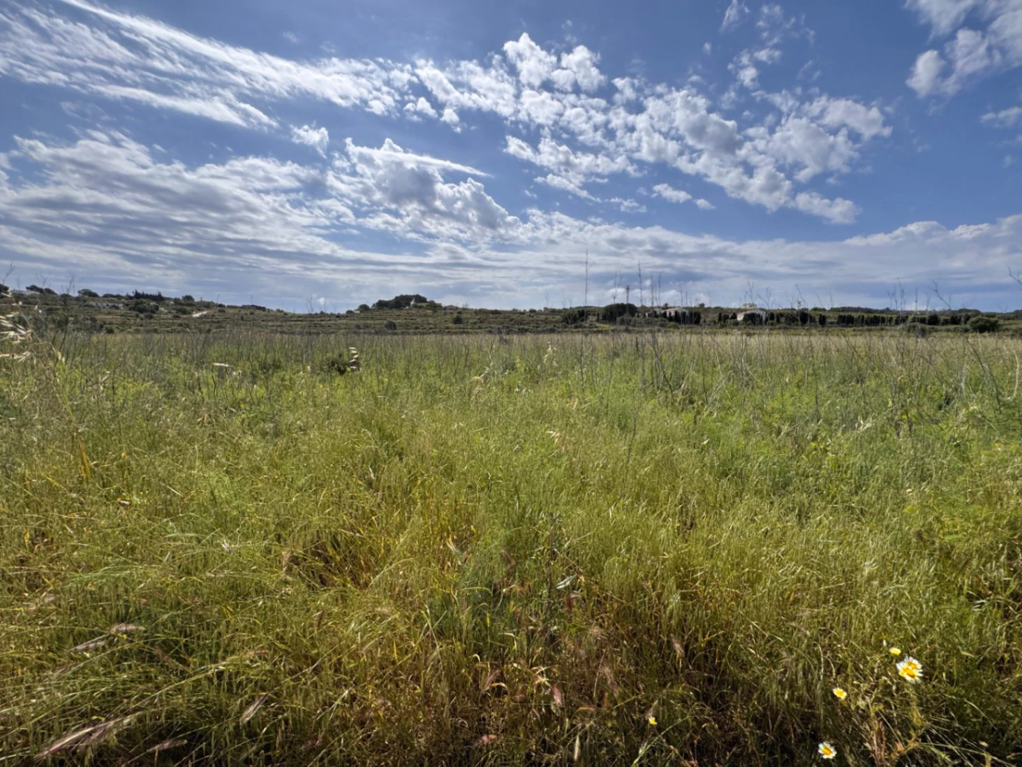 P0355 - Large plot for sale in Benissa 10,300 m² – Flat, sunny and perfect for a country house