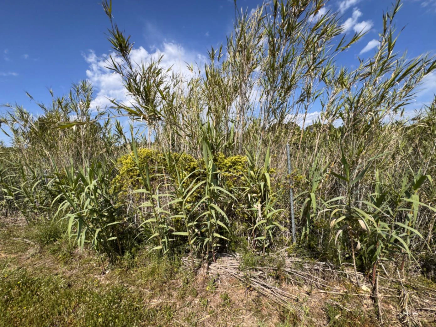 P0355 - Large plot for sale in Benissa 10,300 m² – Flat, sunny and perfect for a country house