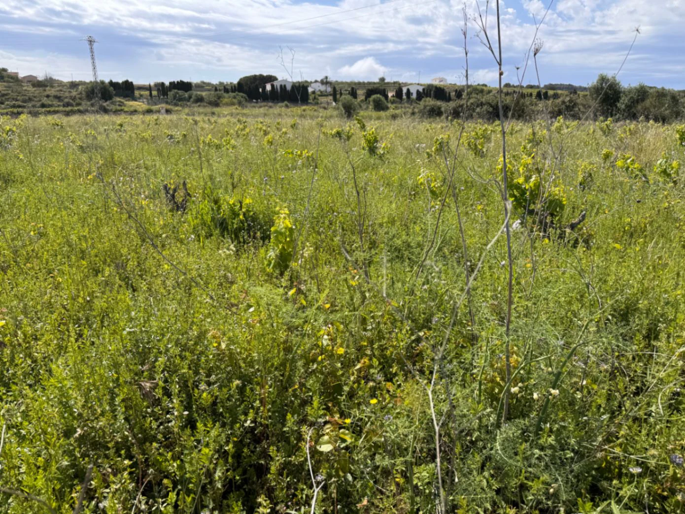 P0355 - Large plot for sale in Benissa 10,300 m² – Flat, sunny and perfect for a country house