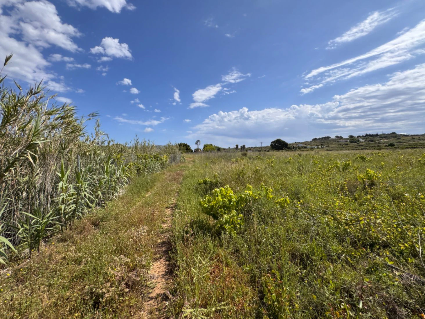 P0355 - Large plot for sale in Benissa 10,300 m² – Flat, sunny and perfect for a country house