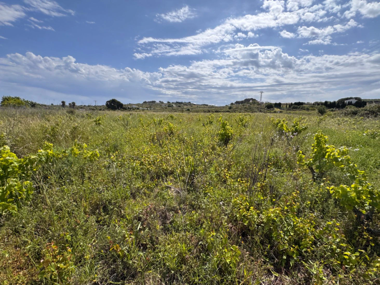 P0355 - Großes Grundstück zum Verkauf in Benissa 10.300 m² – eben, sonnig und ideal für ein Landhaus