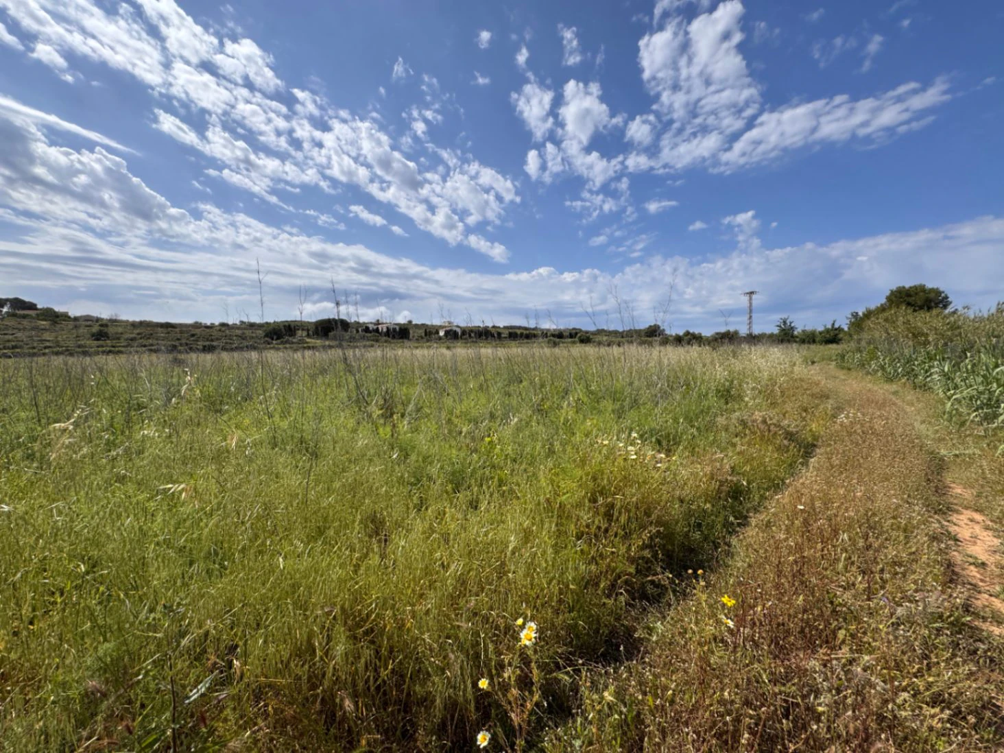 P0355 - Großes Grundstück zum Verkauf in Benissa 10.300 m² – eben, sonnig und ideal für ein Landhaus