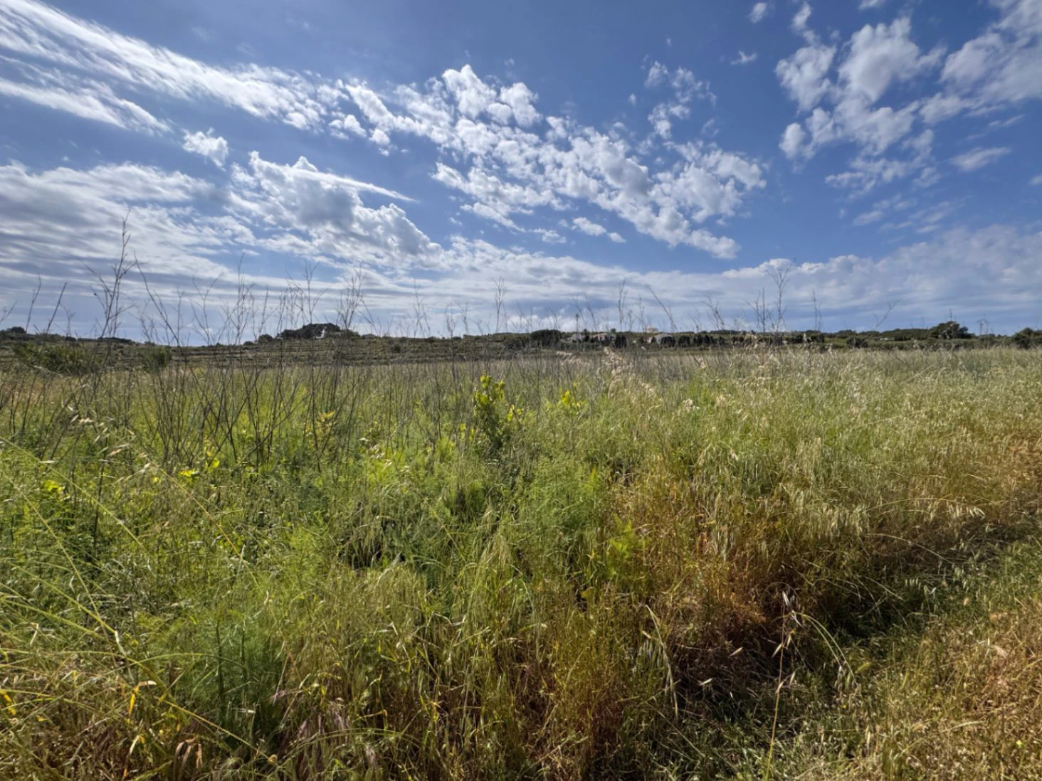 P0355 - Großes Grundstück zum Verkauf in Benissa 10.300 m² – eben, sonnig und ideal für ein Landhaus