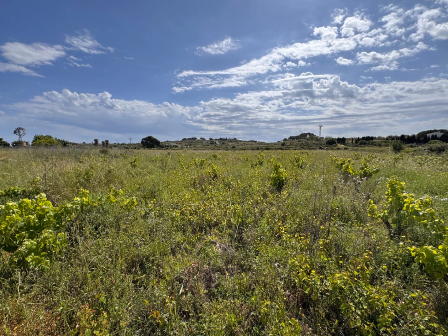 P0355 - Großes Grundstück zum Verkauf in Benissa 10.300 m² – eben, sonnig und ideal für ein Landhaus