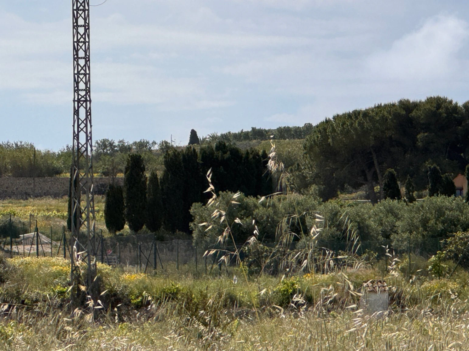 P0355 - Großes Grundstück zum Verkauf in Benissa 10.300 m² – eben, sonnig und ideal für ein Landhaus