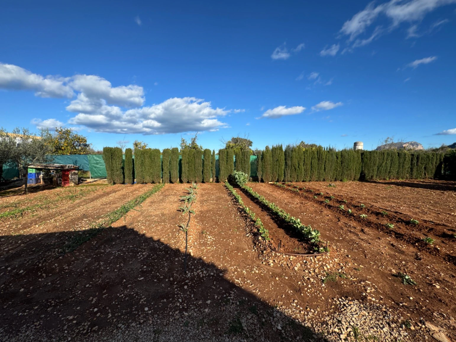 F0209 - Retreat/cottage for lovers of farm produce