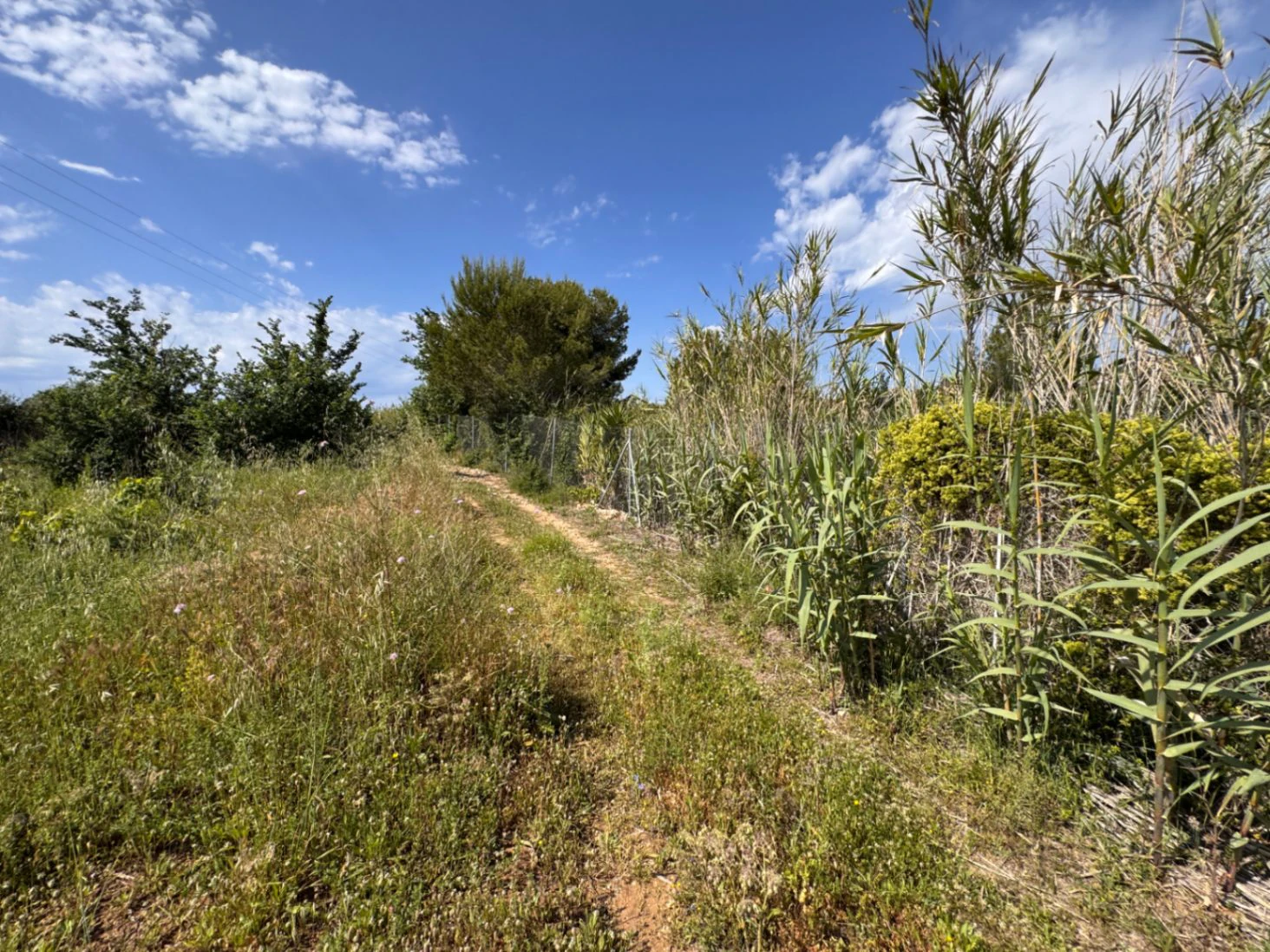 P0355 - Großes Grundstück zum Verkauf in Benissa 10.300 m² – eben, sonnig und ideal für ein Landhaus