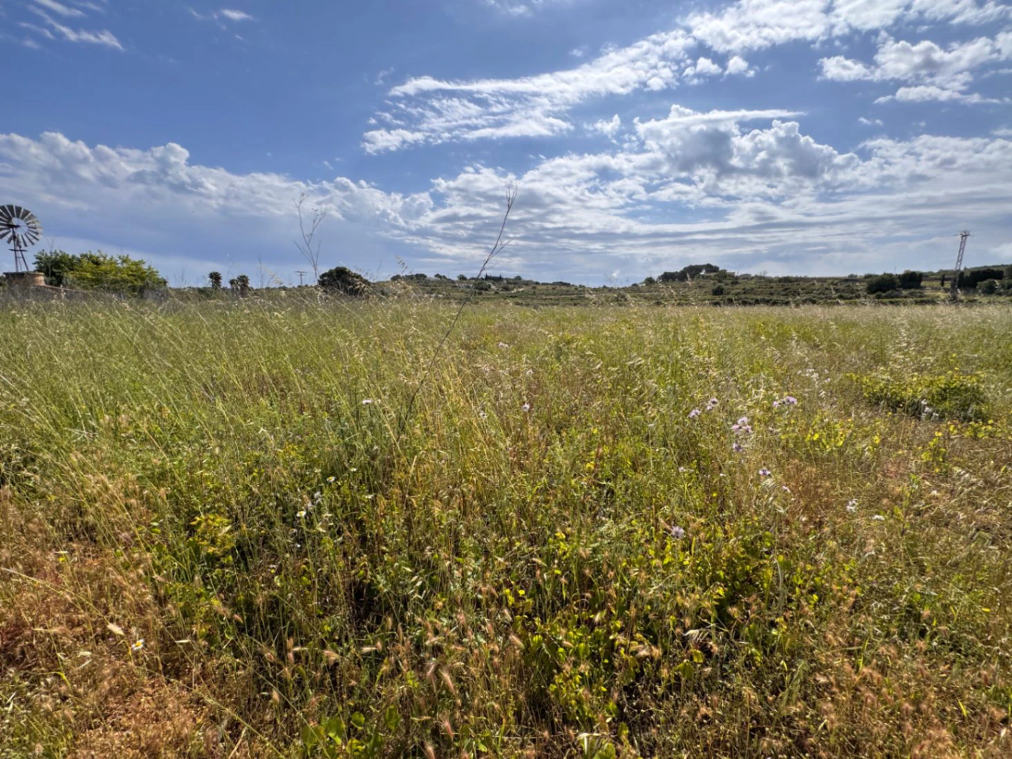 P0355 - Großes Grundstück zum Verkauf in Benissa 10.300 m² – eben, sonnig und ideal für ein Landhaus