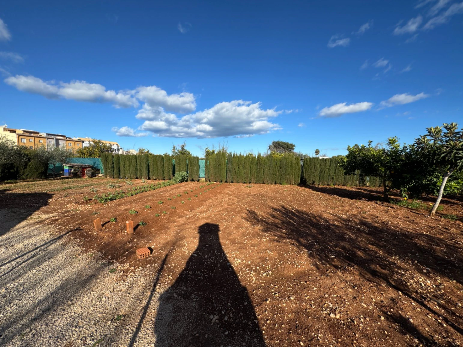 F0209 - Retreat/cottage for lovers of farm produce