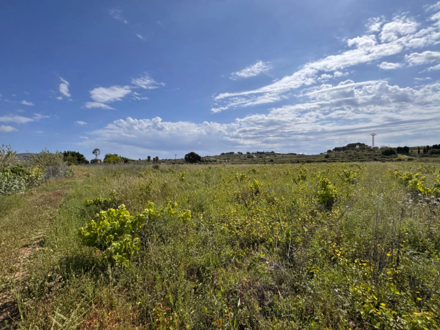 P0355 - Großes Grundstück zum Verkauf in Benissa 10.300 m² – eben, sonnig und ideal für ein Landhaus