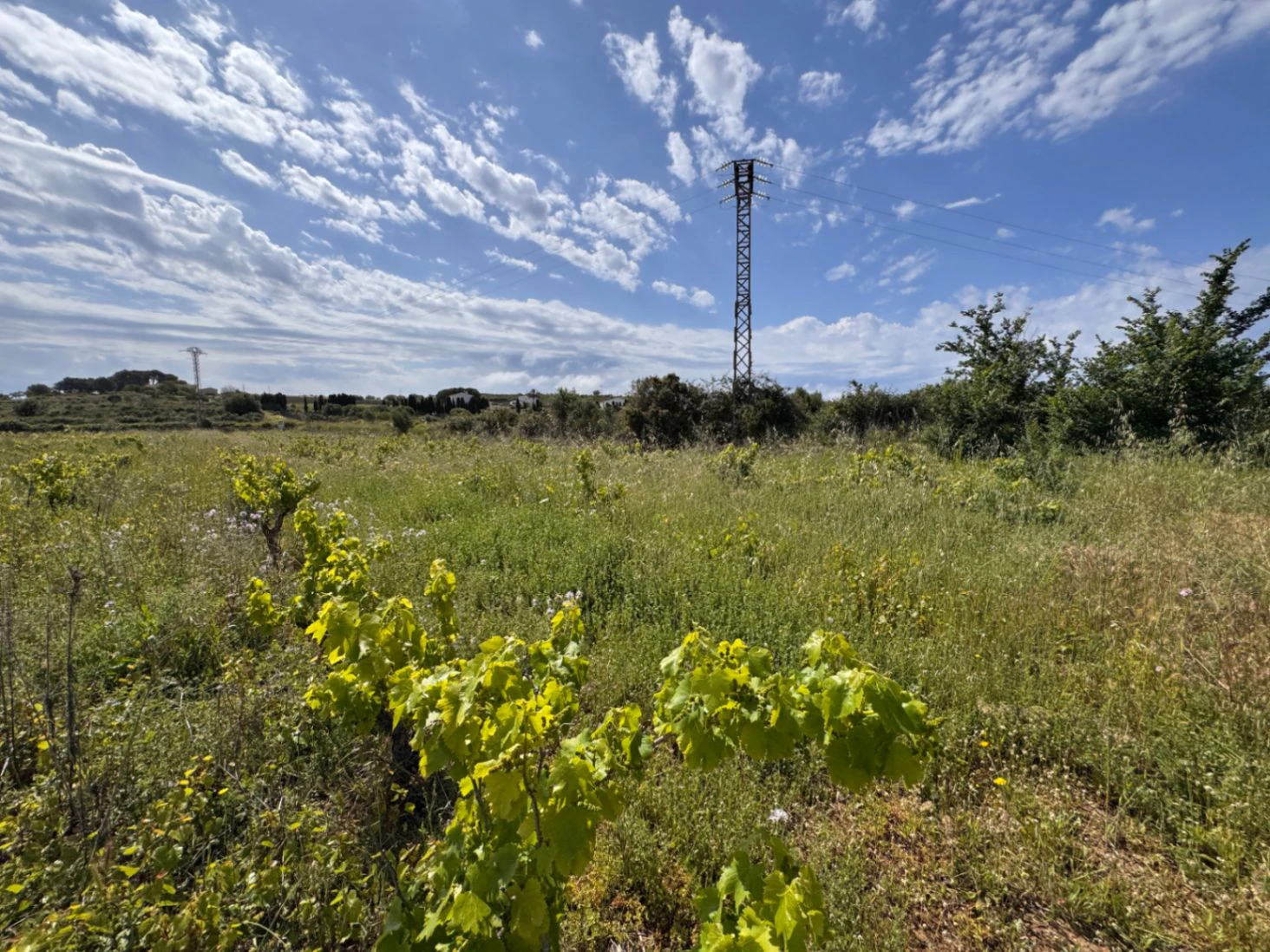 P0355 - Großes Grundstück zum Verkauf in Benissa 10.300 m² – eben, sonnig und ideal für ein Landhaus