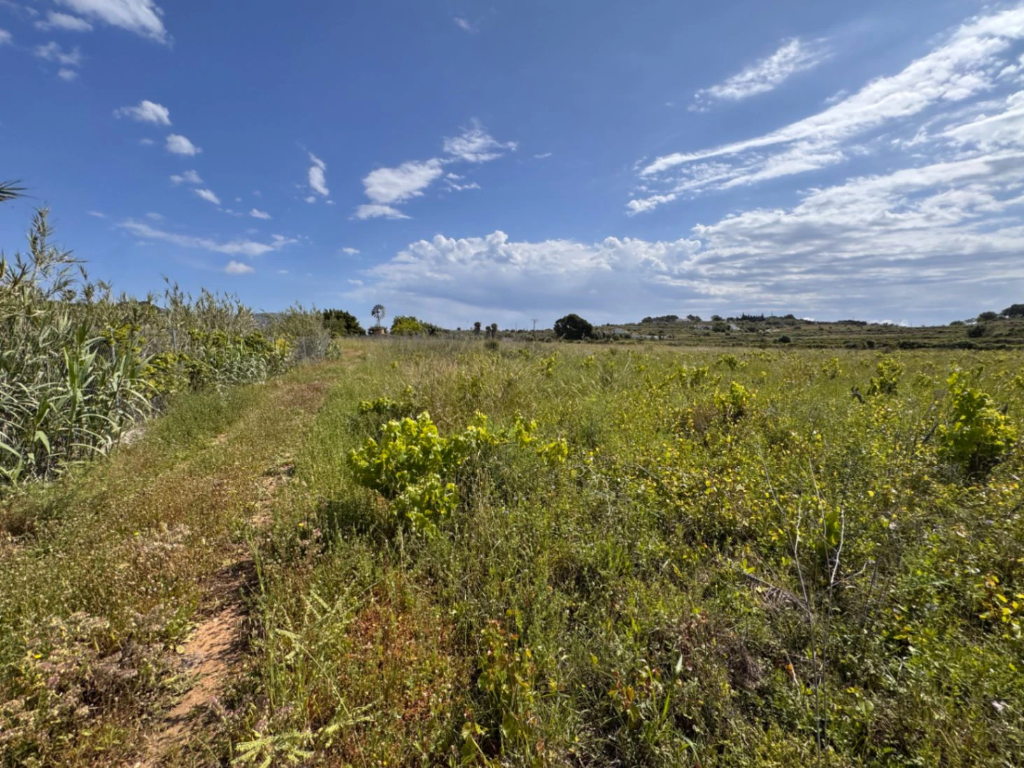 P0355 - Großes Grundstück zum Verkauf in Benissa 10.300 m² – eben, sonnig und ideal für ein Landhaus