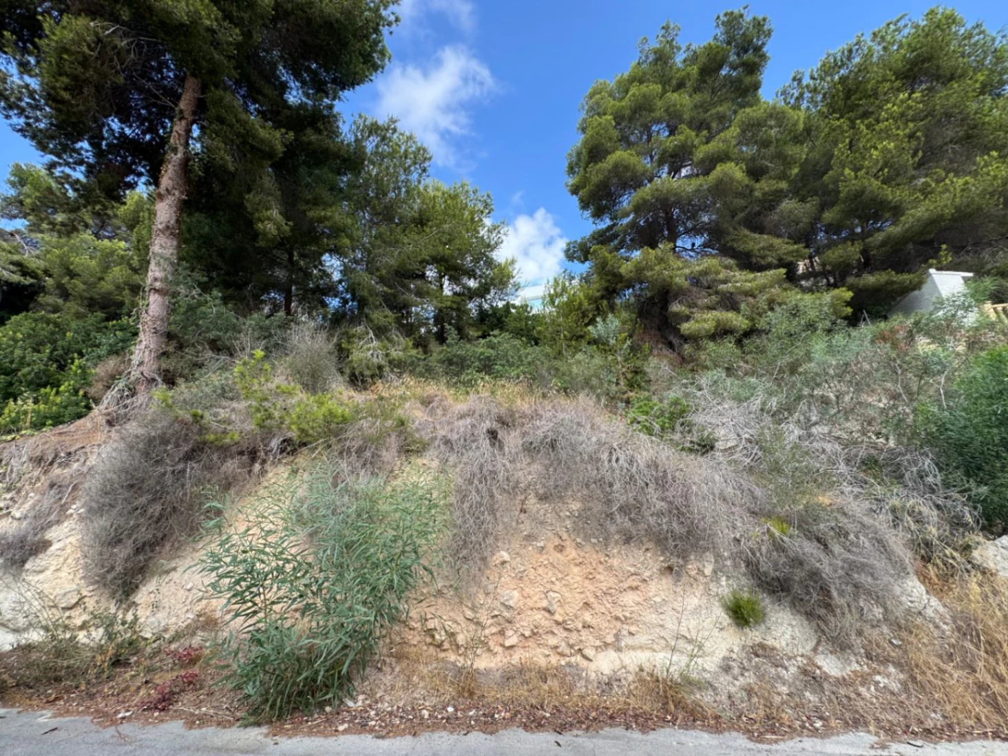 P0346 - Plot with magnificent sea views, overlooking Cap d'Or and Moraira.