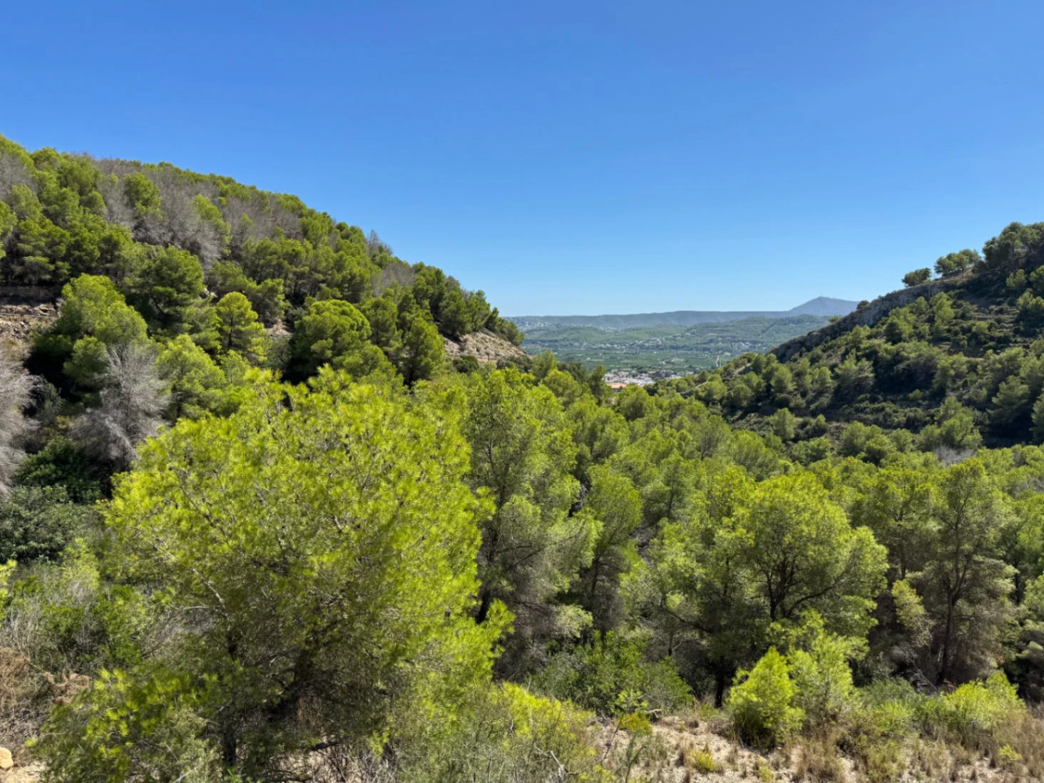 P0348 - Se vende parcela en Jávea de 1.665 m2