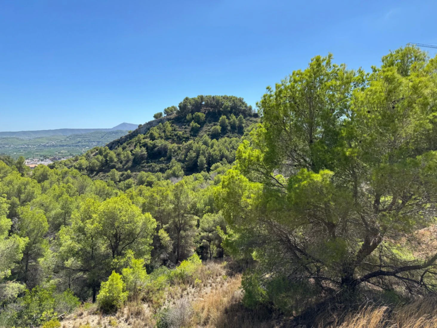 P0348 - Se vende parcela en Jávea de 1.665 m2