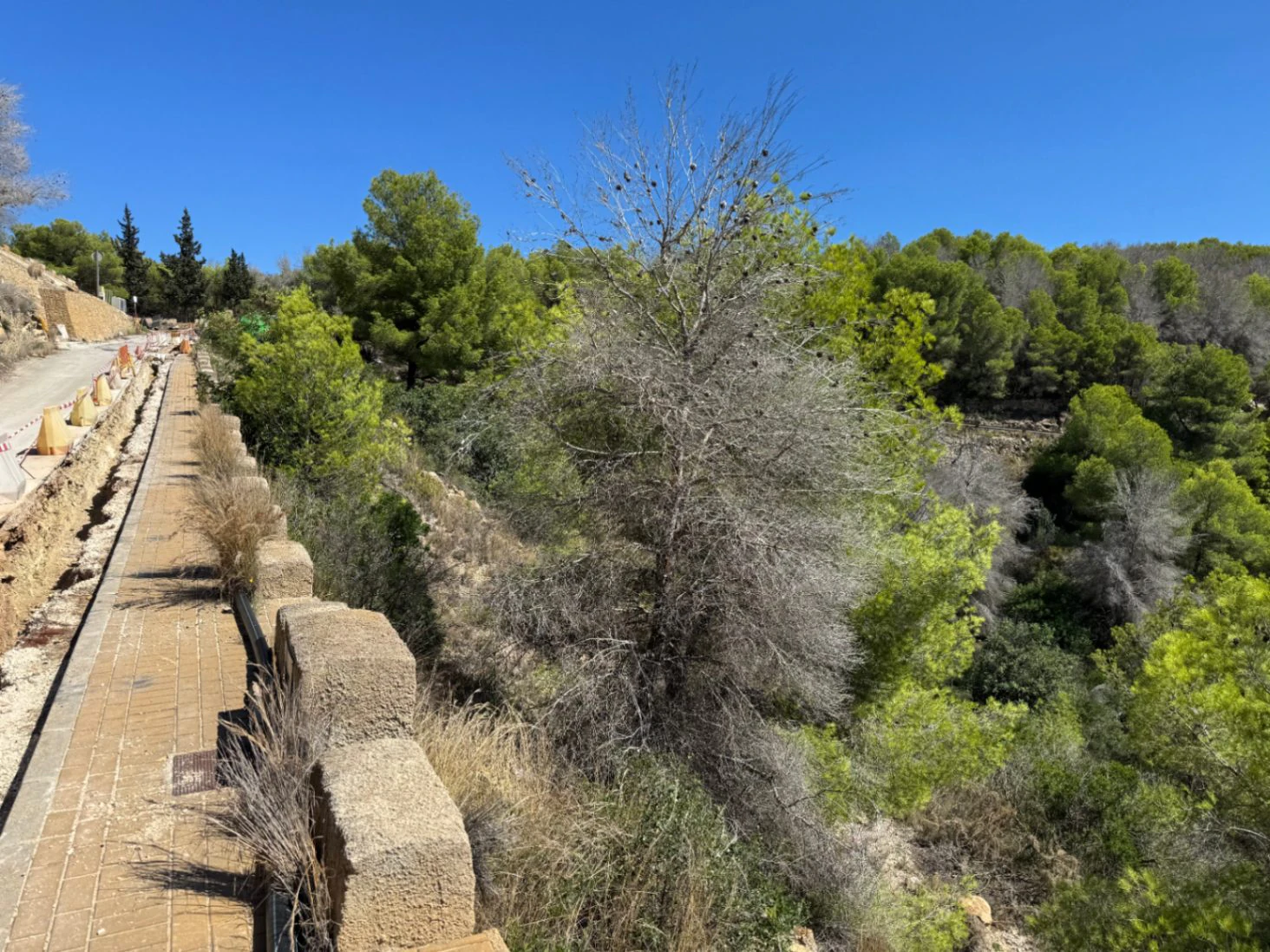 P0348 - Se vende parcela en Jávea de 1.665 m2