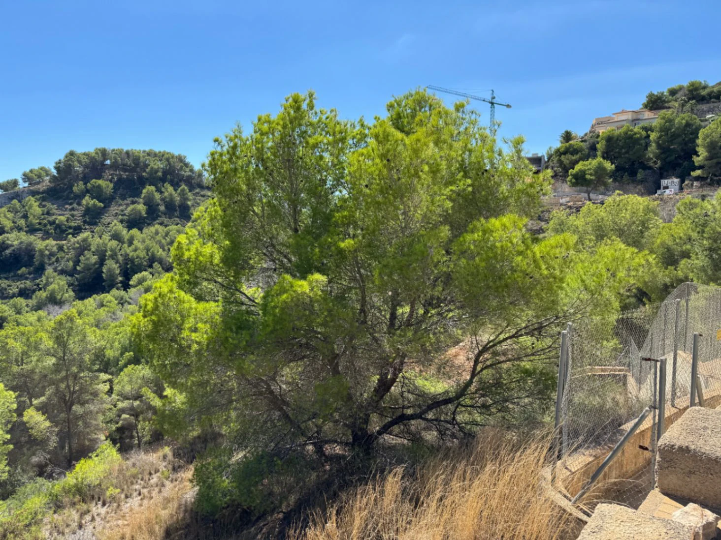 P0348 - Se vende parcela en Jávea de 1.665 m2