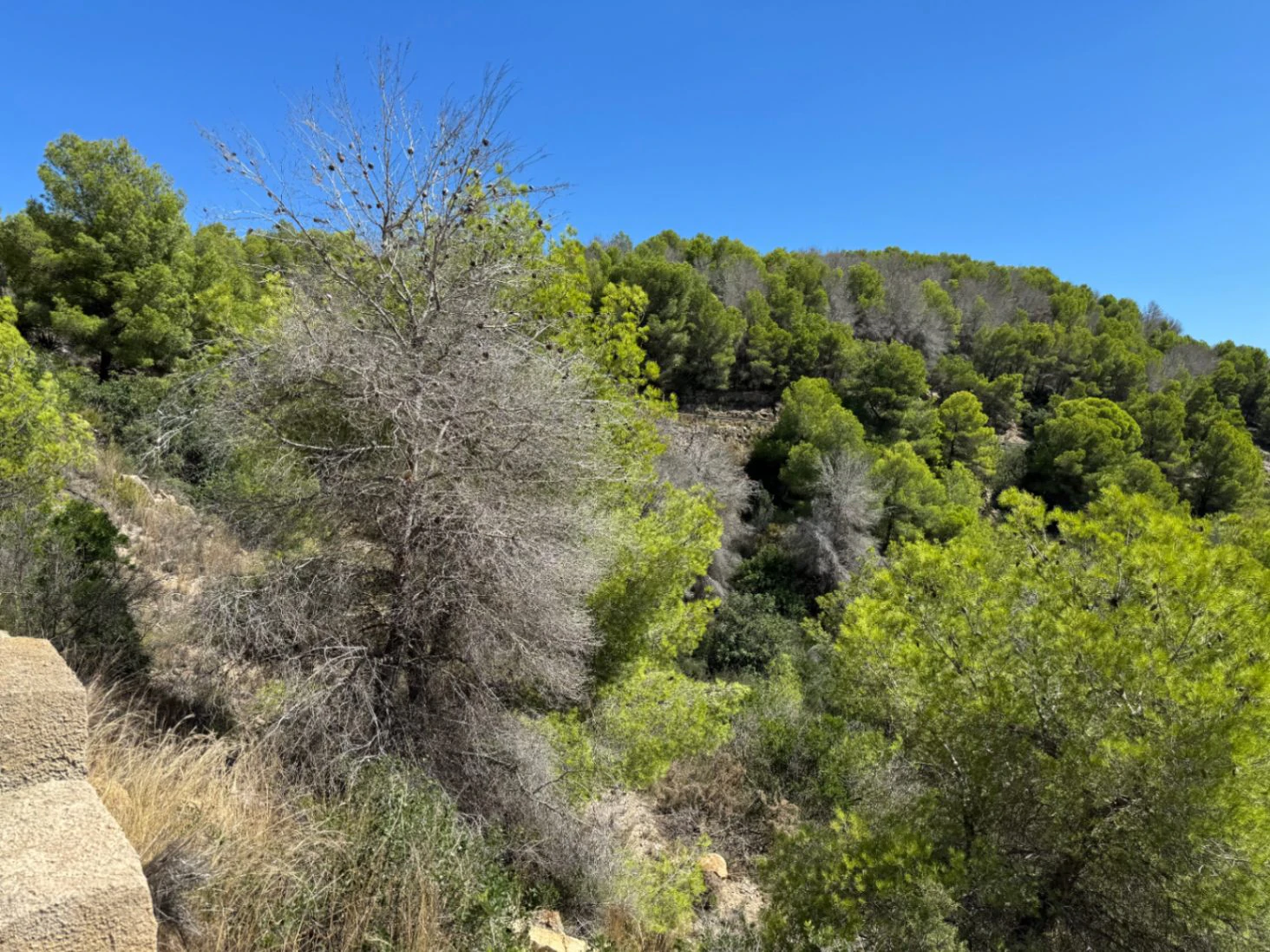 P0348 - Se vende parcela en Jávea de 1.665 m2