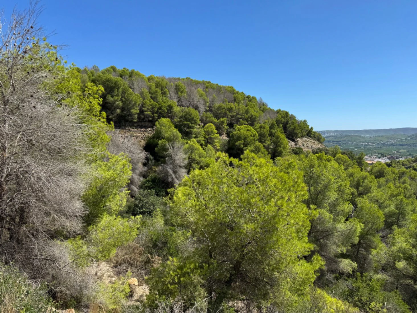 P0348 - Se vende parcela en Jávea de 1.665 m2