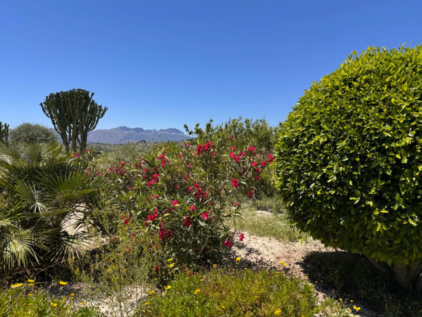 Exclusive Renovated Stone Country Finca with Character, Modern Interior and Pool in Benissa – Costa Blanca