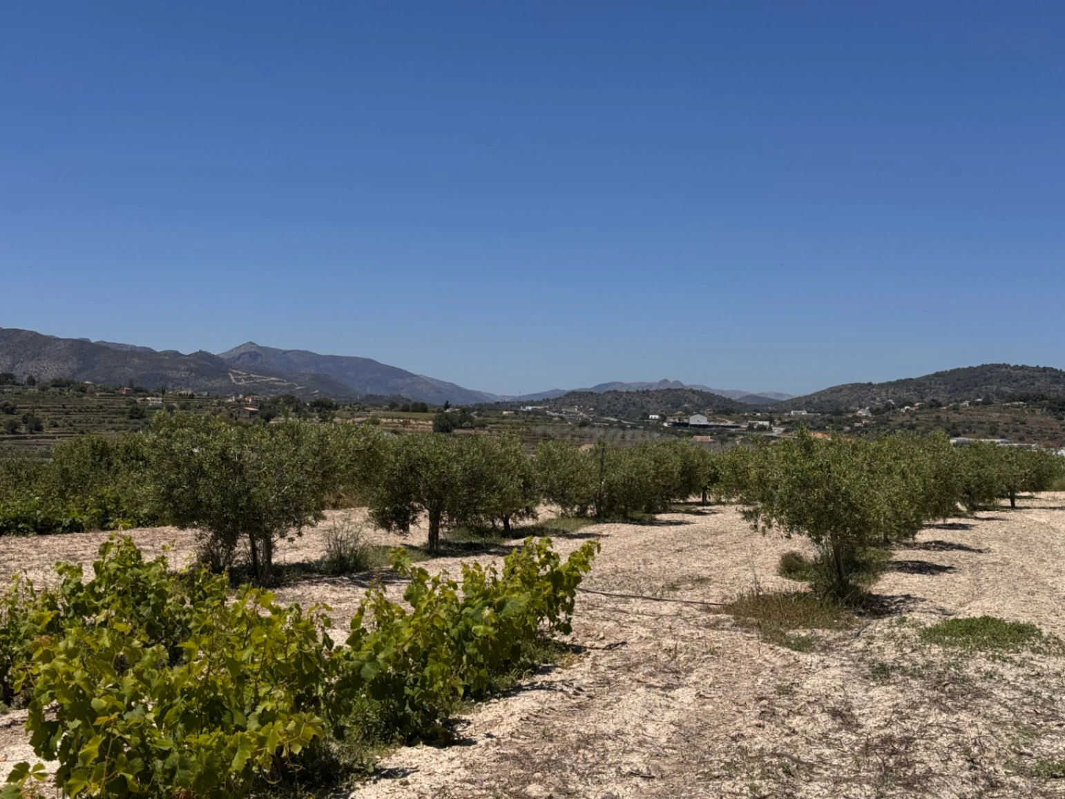 Exclusive Renovated Stone Country Finca with Character, Modern Interior and Pool in Benissa – Costa Blanca