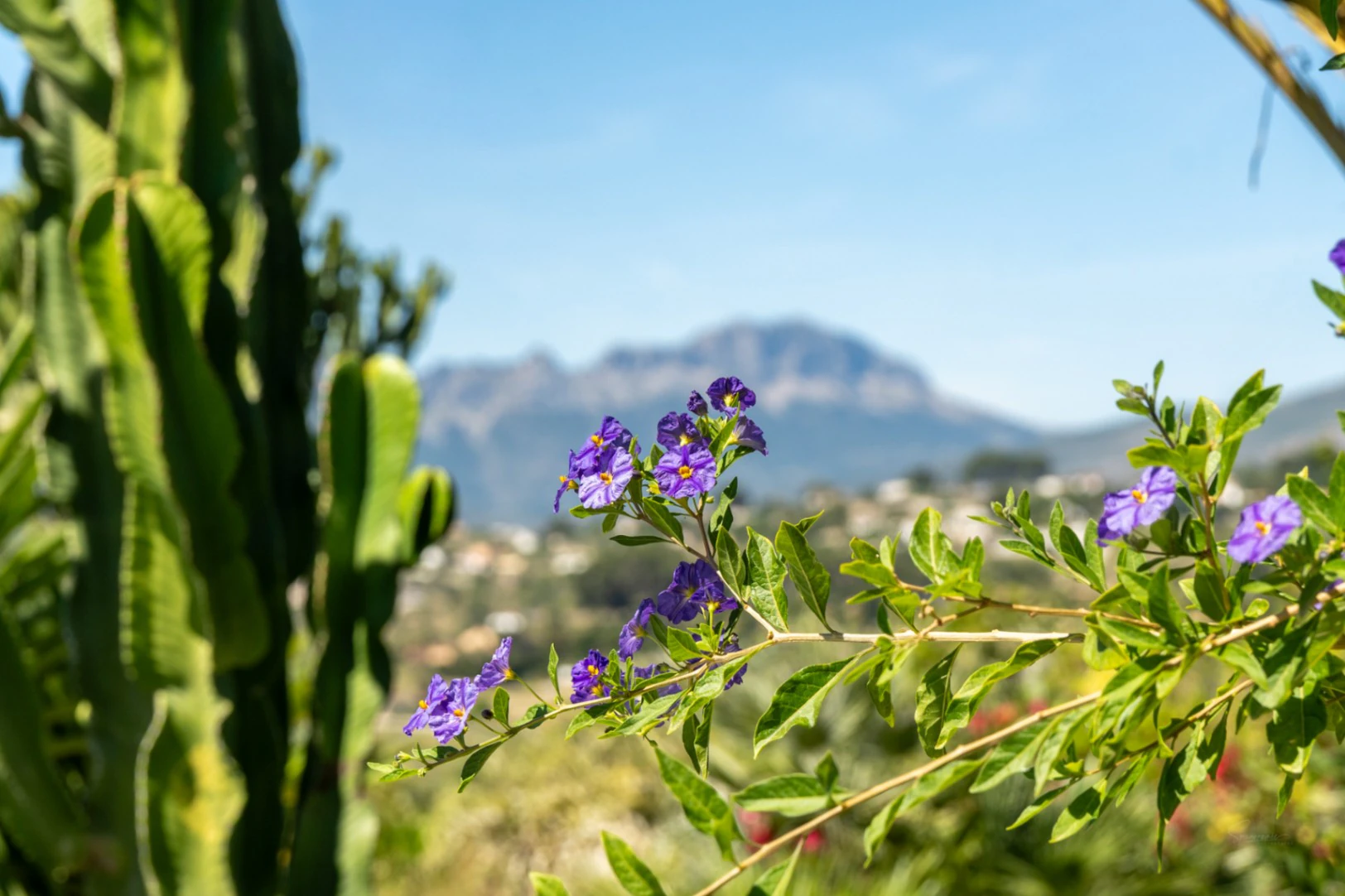 Exclusive Renovated Stone Country Finca with Character, Modern Interior and Pool in Benissa – Costa Blanca