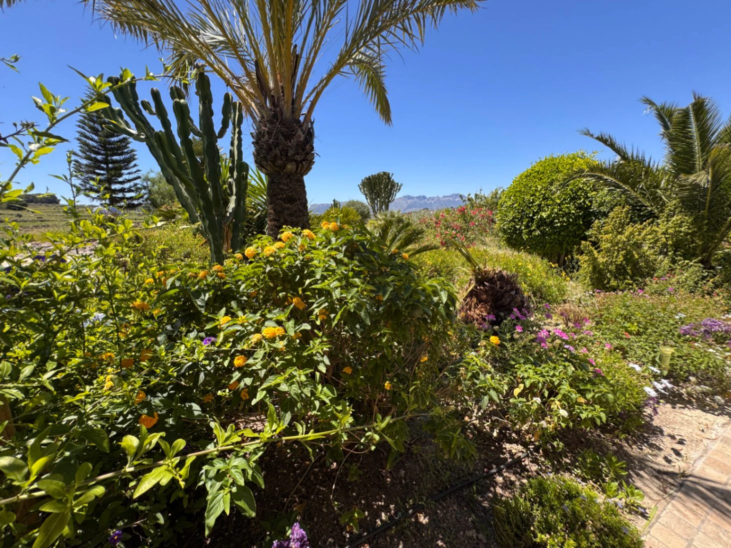 Exclusive Renovated Stone Country Finca with Character, Modern Interior and Pool in Benissa – Costa Blanca