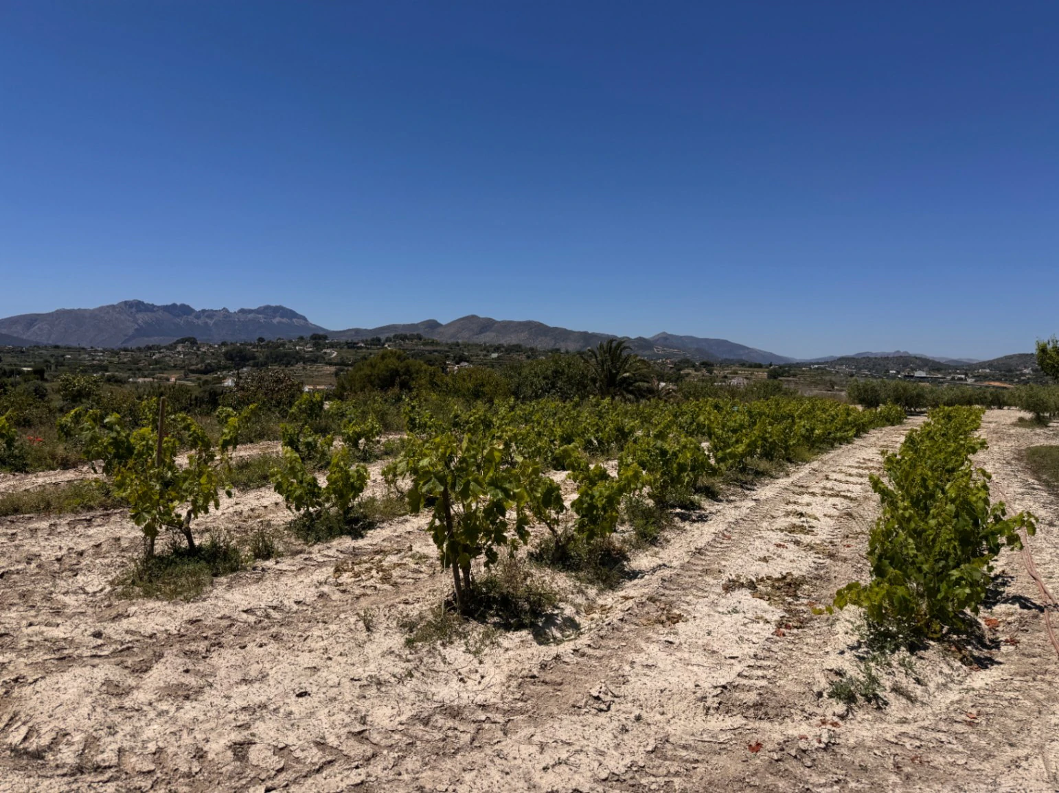 Exclusive Renovated Stone Country Finca with Character, Modern Interior and Pool in Benissa – Costa Blanca