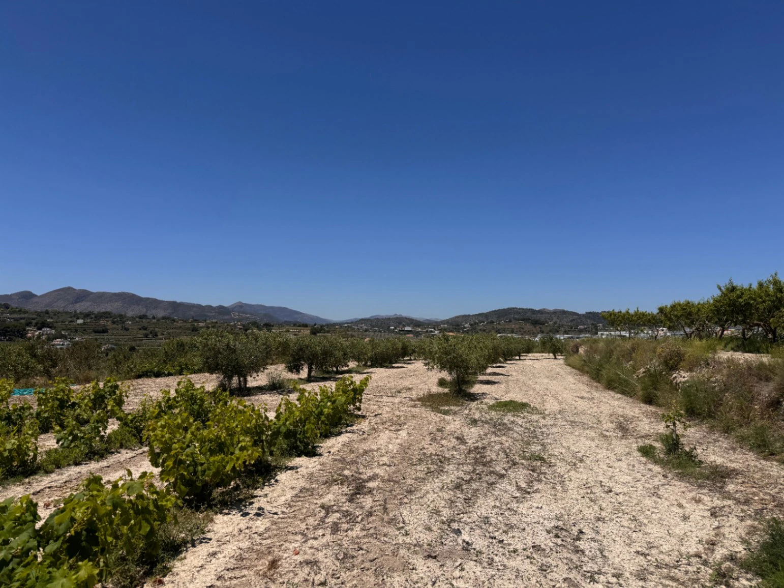 Exclusive Renovated Stone Country Finca with Character, Modern Interior and Pool in Benissa – Costa Blanca