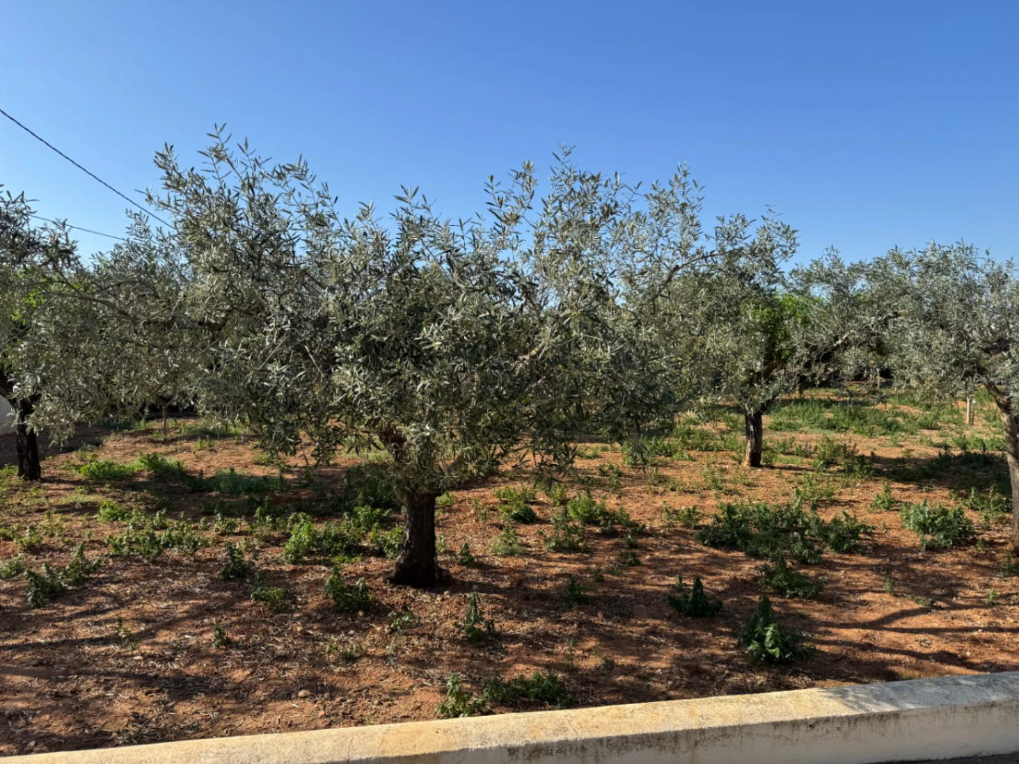 F0206 - Boerderij in Benissa op 15 minuten lopen naar het centrum