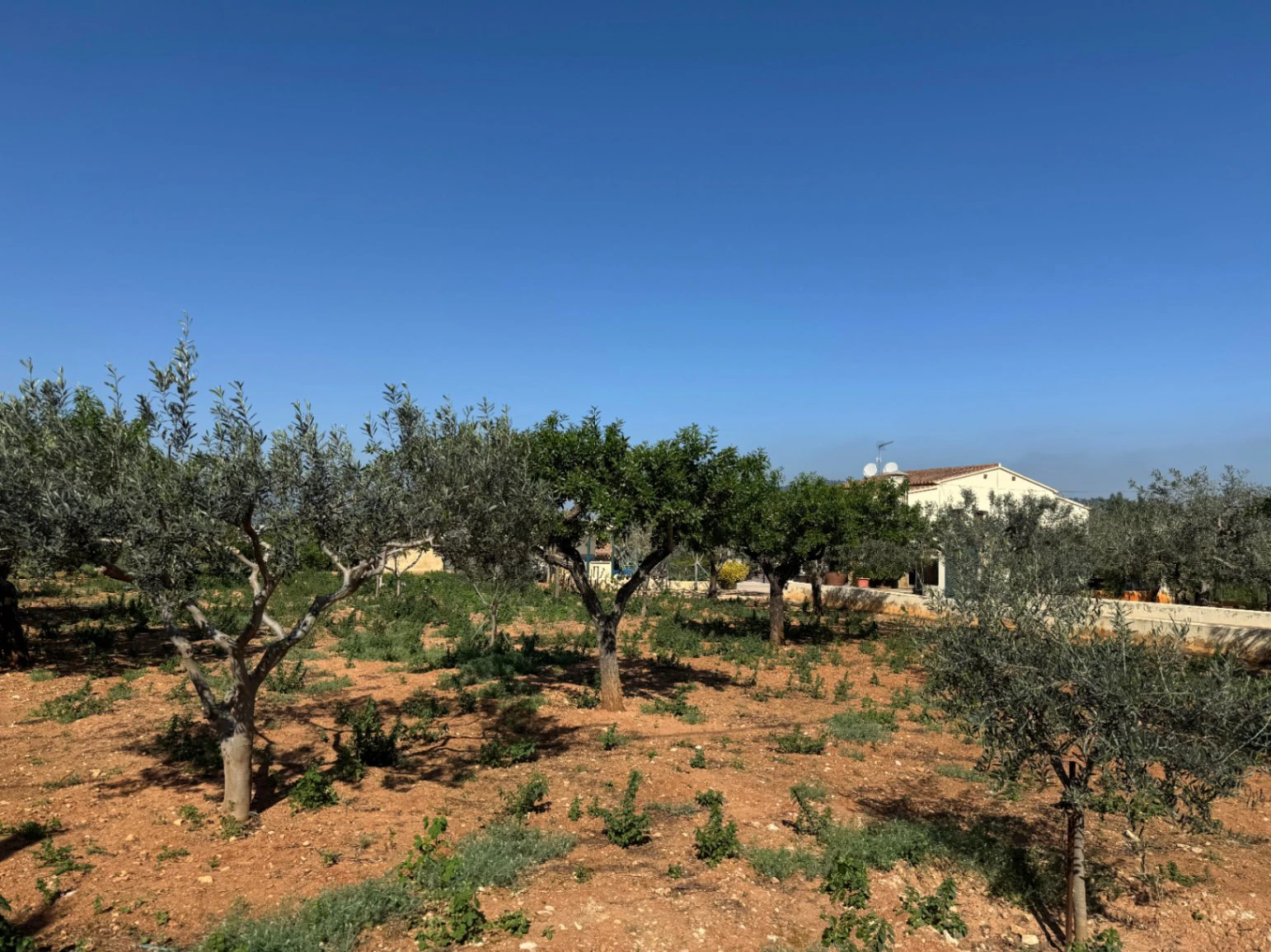 F0206 - Boerderij in Benissa op 15 minuten lopen naar het centrum