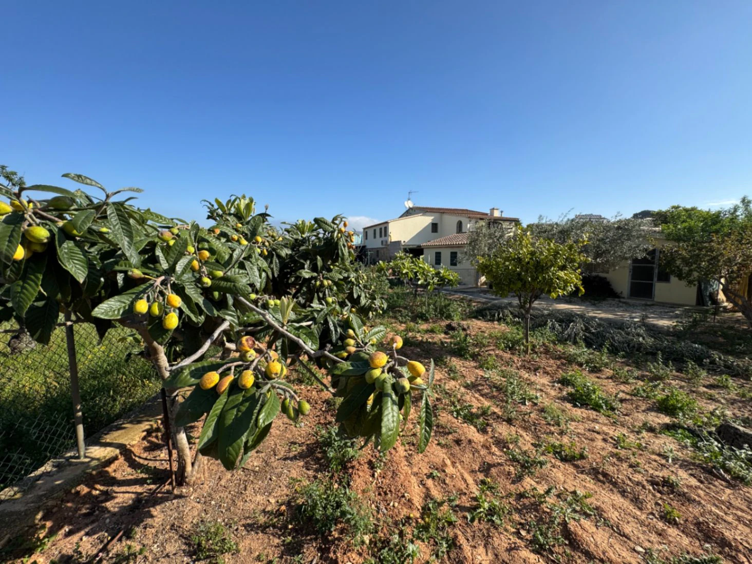 F0206 - Boerderij in Benissa op 15 minuten lopen naar het centrum