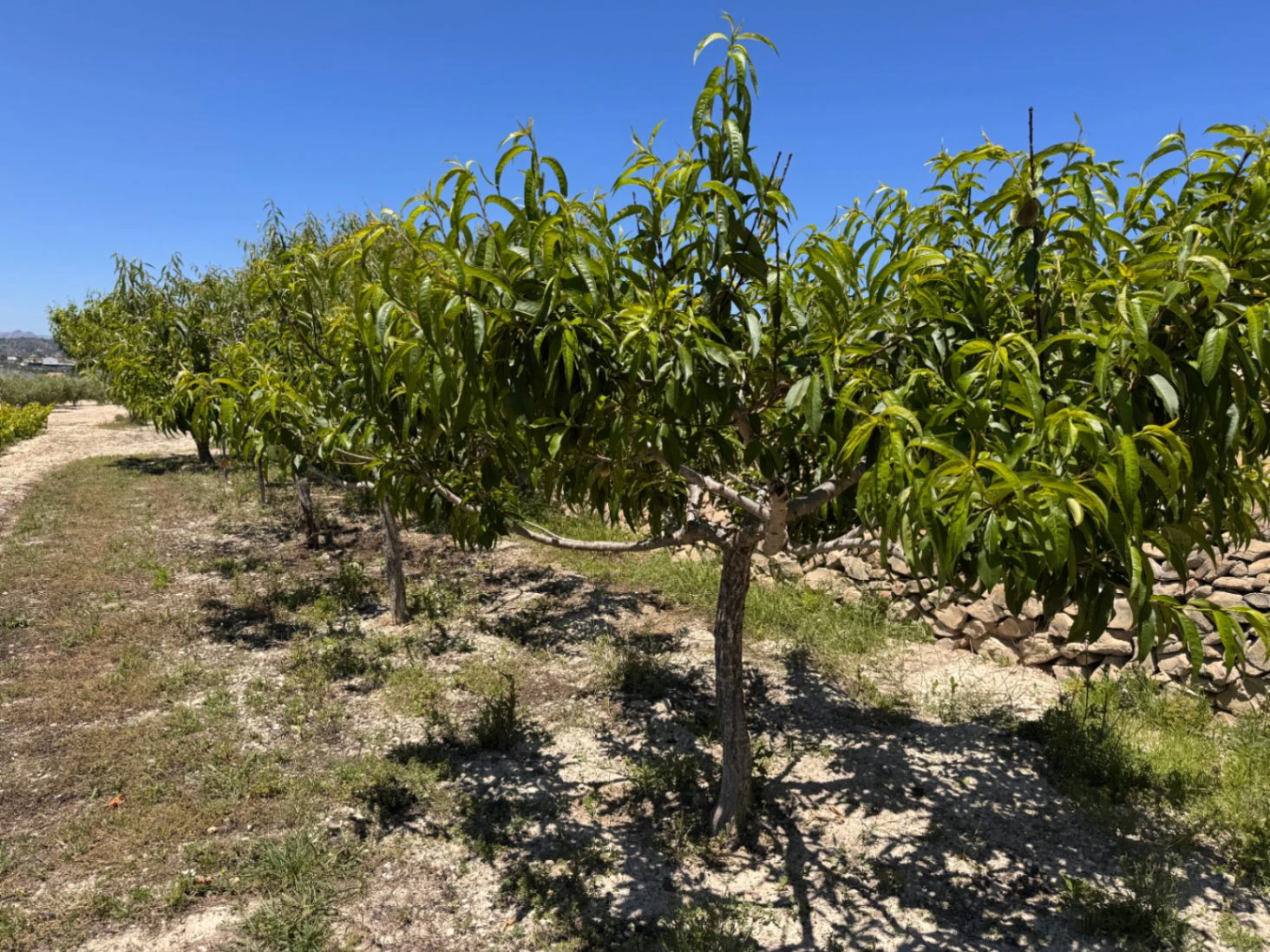 F0211 - Exklusive Stein-Finca mit Charakter, modernem Interieur und Pool in Benissa – Costa Blanca
