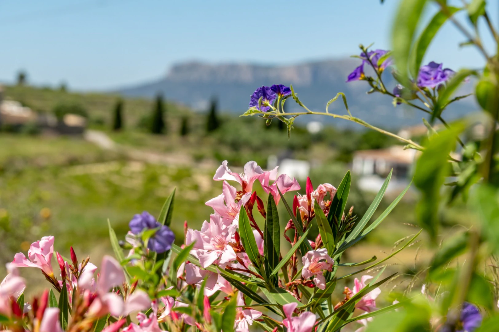 F0211 - Exklusive Stein-Finca mit Charakter, modernem Interieur und Pool in Benissa – Costa Blanca