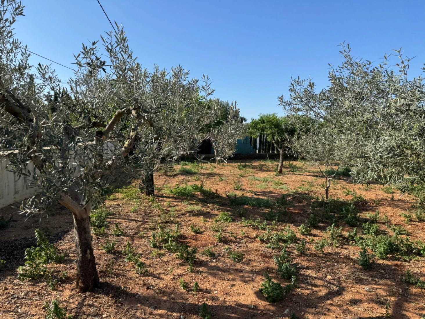F0206 - Boerderij in Benissa op 15 minuten lopen naar het centrum