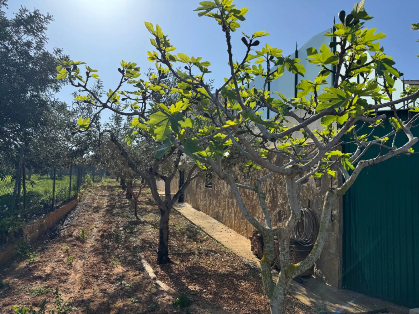 F0206 - Boerderij in Benissa op 15 minuten lopen naar het centrum