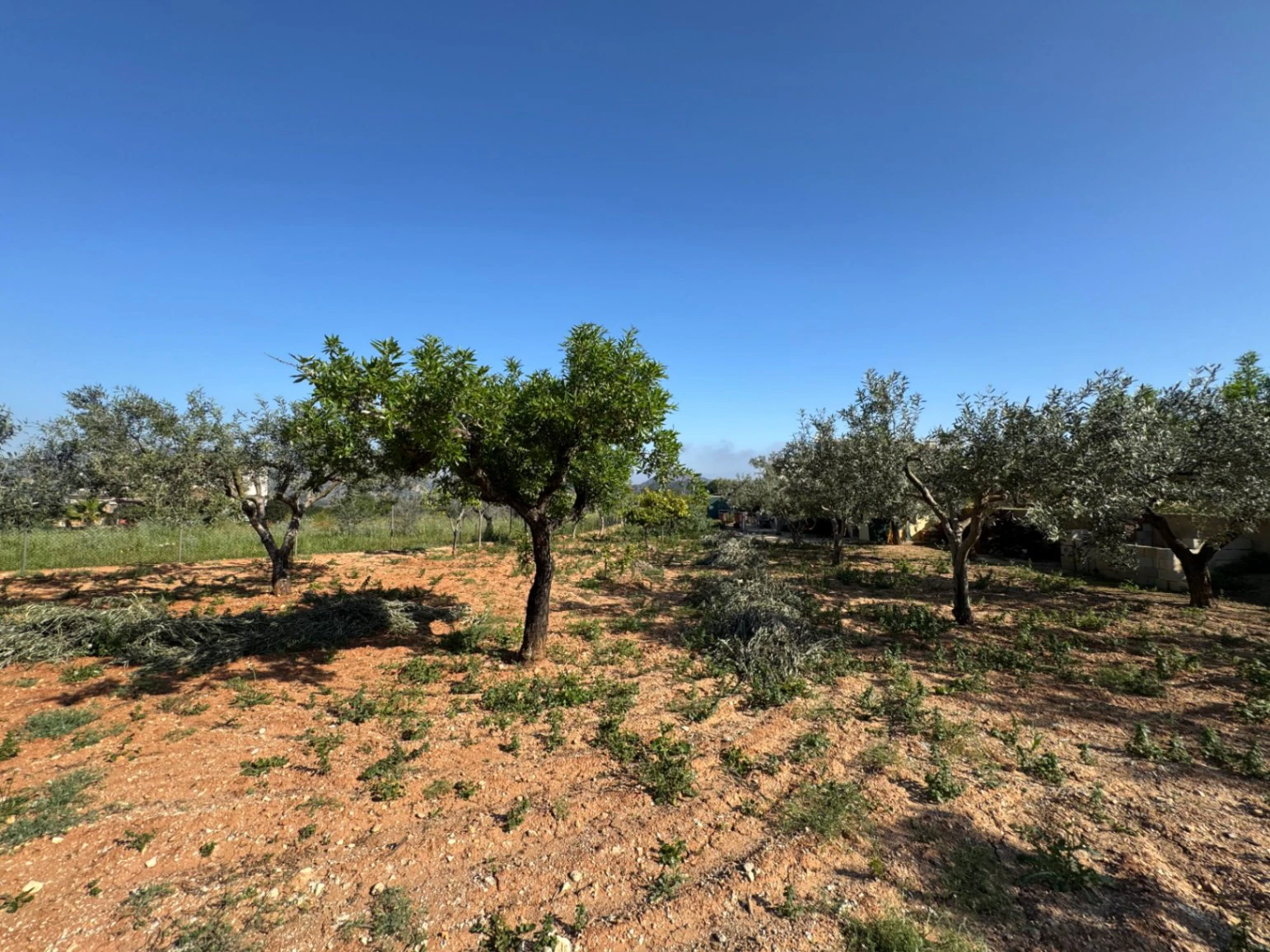 F0206 - Boerderij in Benissa op 15 minuten lopen naar het centrum