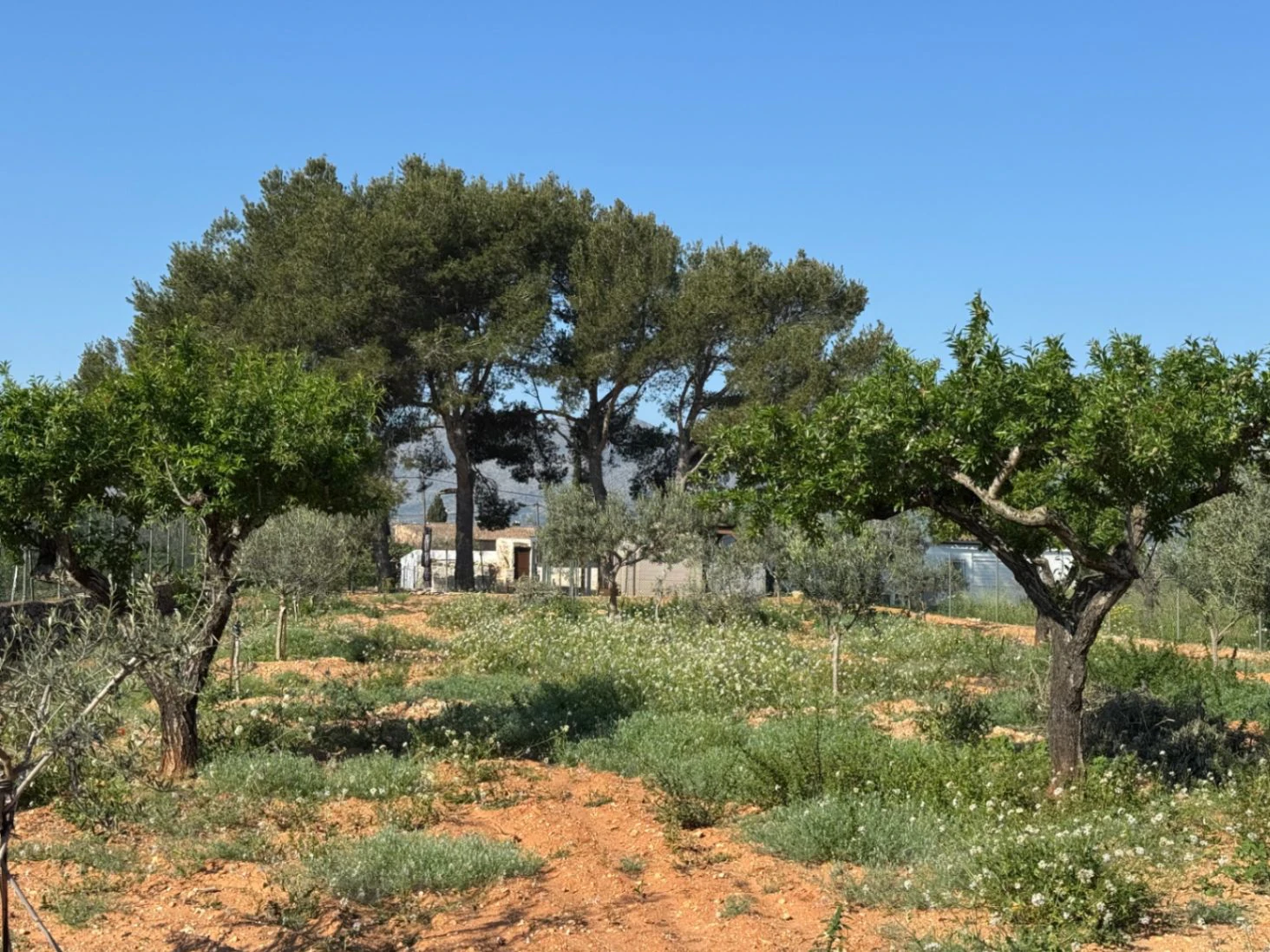 F0206 - Boerderij in Benissa op 15 minuten lopen naar het centrum