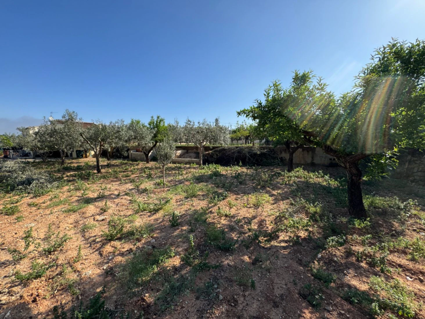 F0206 - Boerderij in Benissa op 15 minuten lopen naar het centrum