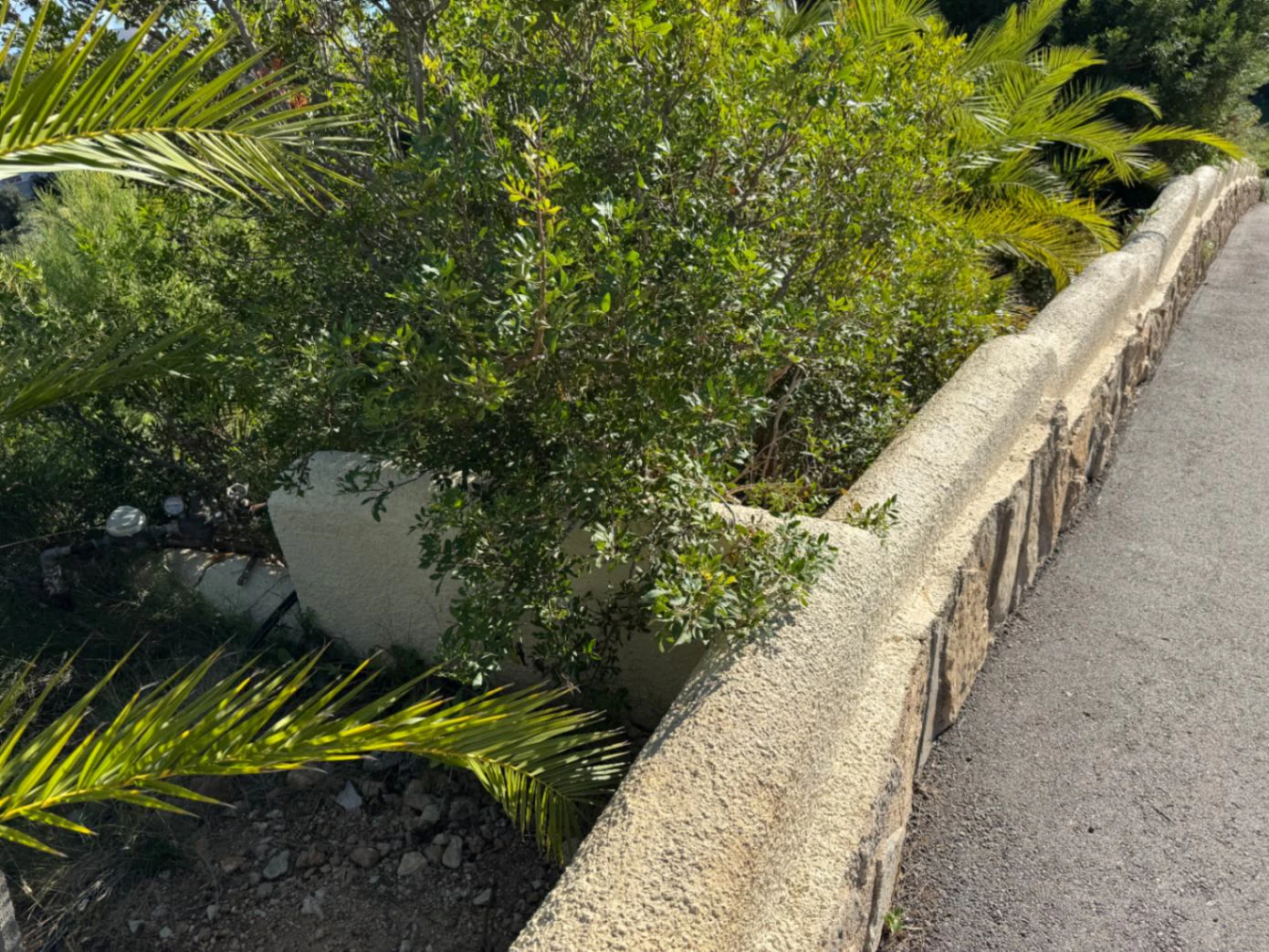 P0351 - Exclusive Plot in Cumbre del Sol | Sea Views and Maximum Privacy
