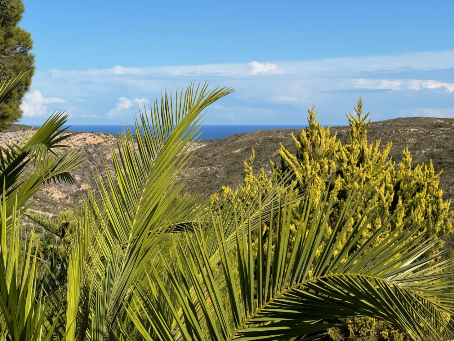 P0351 - Exclusive Plot in Cumbre del Sol | Sea Views and Maximum Privacy