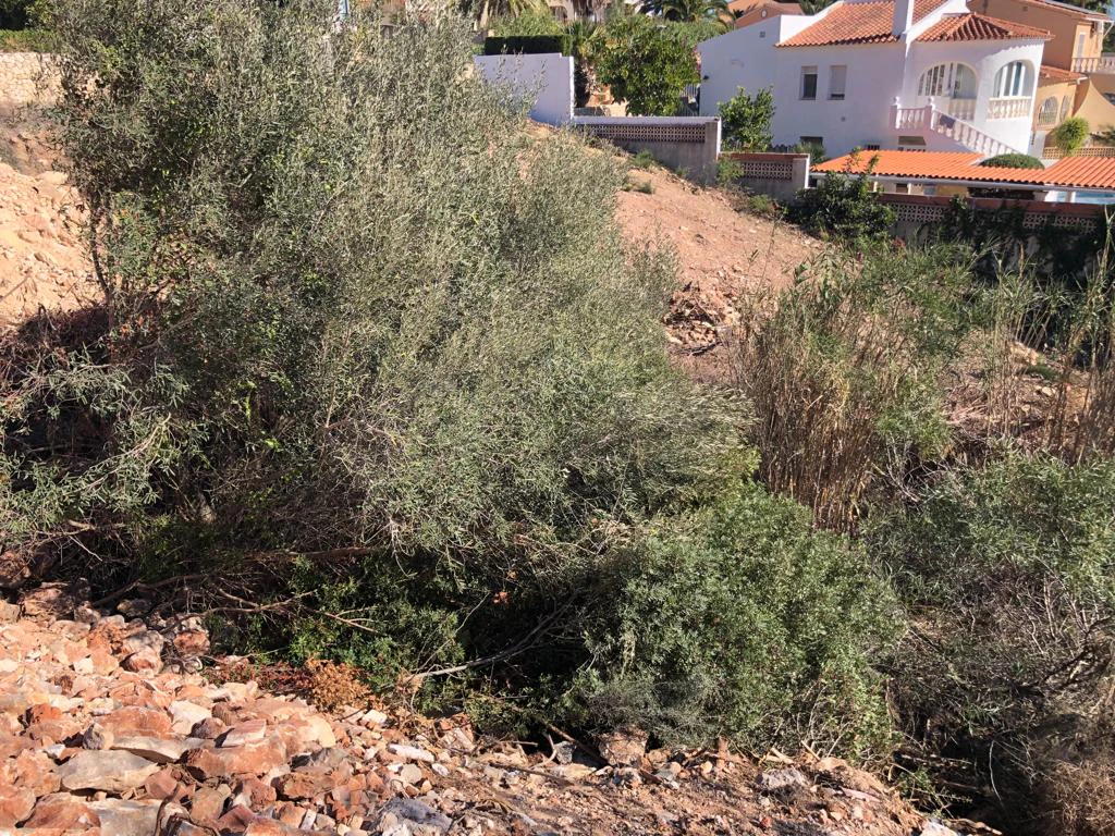 Projekt: Moderne Luxusvilla mit wunderschönem Meerblick